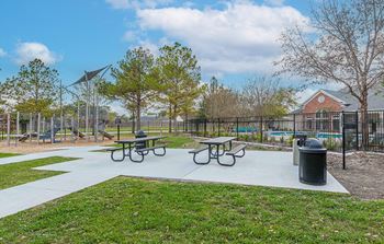 New picnic and grilling areas